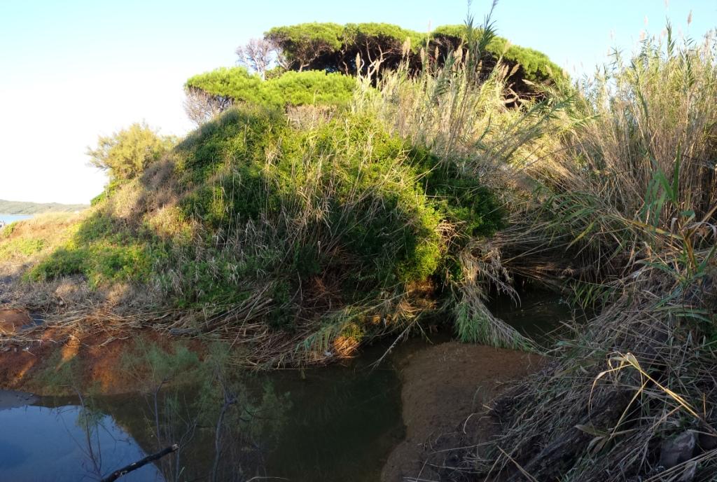 I fossi e lo stagno di Baratti (Piombino - LI)